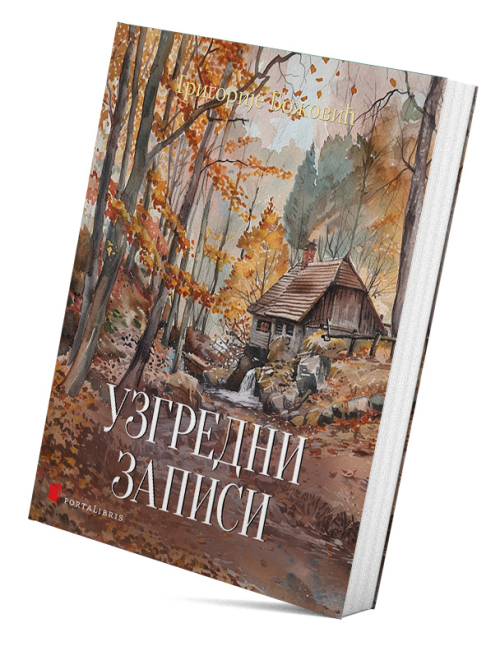 Узгредни записи